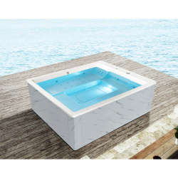Гидромассажный спа бассейн WS-S025